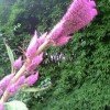 随缘的头像
