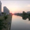 香山红叶的头像