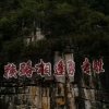 小胡驾到的头像