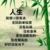余生不将就的头像