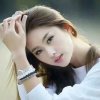 幸运草的头像
