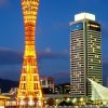 冰融石化的头像