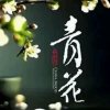 平常心的头像