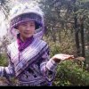 淡淡的忧愁！万缕缕的怀念！的头像