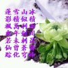 冰山雪莲的头像