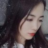 雪儿的头像