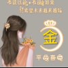开心果的头像