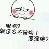 飞翔的企鹅的头像