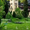 绿色森林的头像