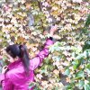 小健彩虹002号学员的头像