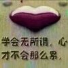 金鹰畅想的头像