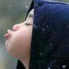 宝爹的头像