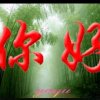 雨花石的头像