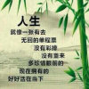 珍惜的头像
