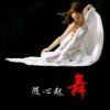 明月疏影的头像