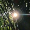 三月十五的头像