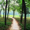 宁静淡然（眠）的头像
