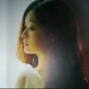 琴停的头像