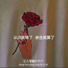 淡萩（qiu）的头像