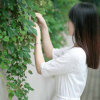 百合的头像