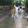 炼群的头像