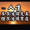 自由的飞翔的头像
