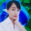让梦随心飞的头像