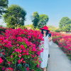 夏沫的头像