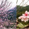 yun中mei的头像