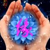 没啥了不起的头像