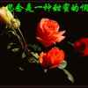 small的头像