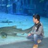 再见，青春！的头像