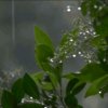 一水同舟。的头像