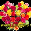 爱生活爱自己的头像