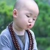 （离线）乐乐福至心灵（友来有往）的头像