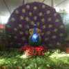 东西风祝各位大吉暂


</dl>
<div class=