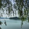 一帆风顺（不听勿评）的头像
