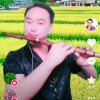 笛子哥的头像