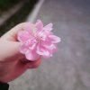 涵的头像