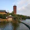 小虫0的头像
