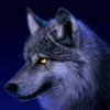 龍族♚西伯利亚狼的头像