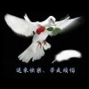 自由飞翔的头像