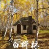 白桦林～拒私信的头像