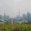 峰哥的头像