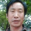 杨前朝（拒绝凯币）的头像