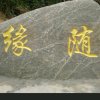 期  待的头像