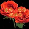 舒清清河边草的头像