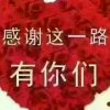 飞的头像