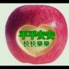 追梦的头像