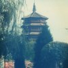 优男雅士的头像